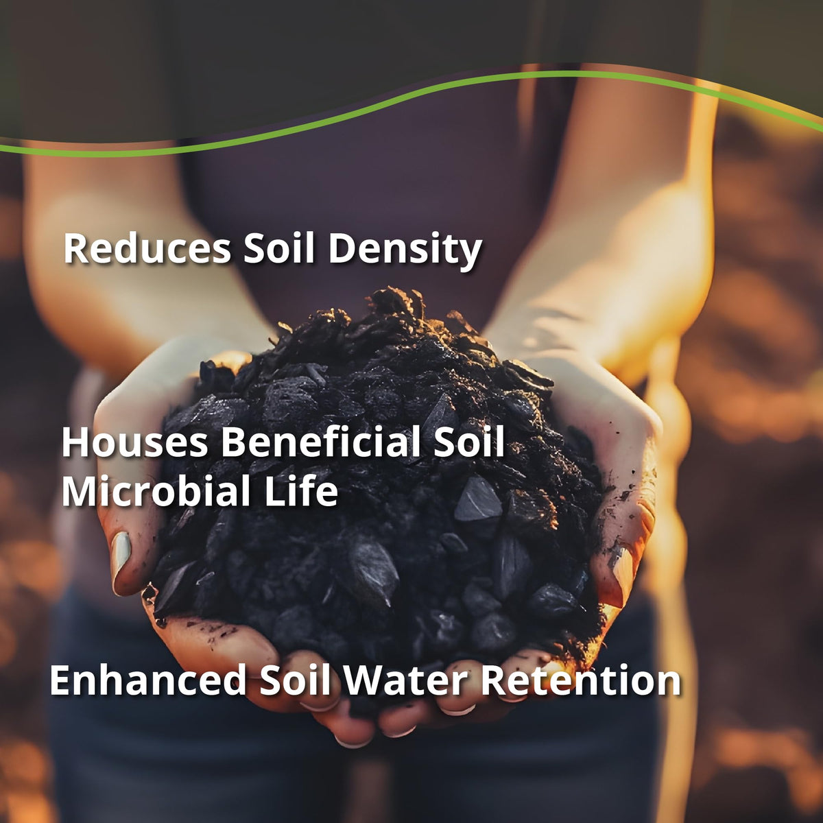 plantonix Char Bliss in potting soil during container gardening