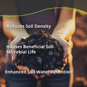 plantonix Char Bliss in potting soil during container gardening
