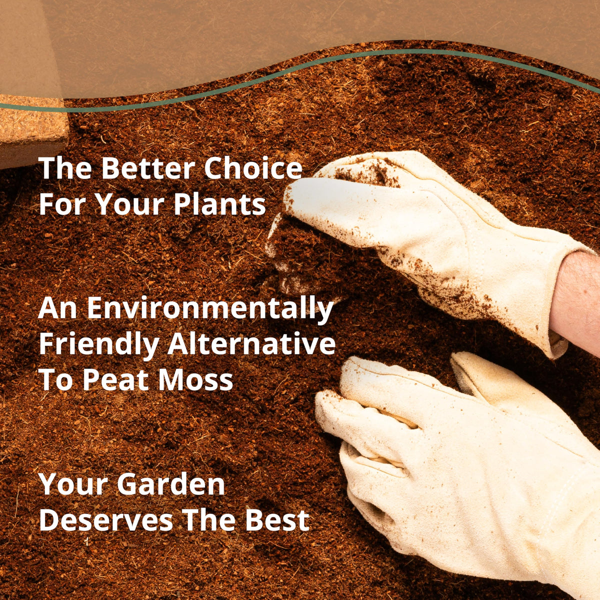 Plantonix Coco Bliss sustainability from renewable coconut husks