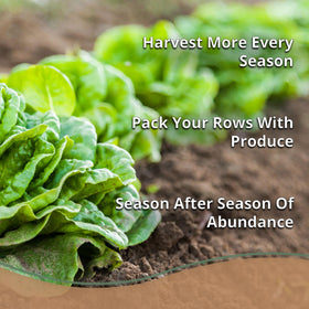 Plantonix Coco Chips add decorative mulch and moisture control for potted plants.