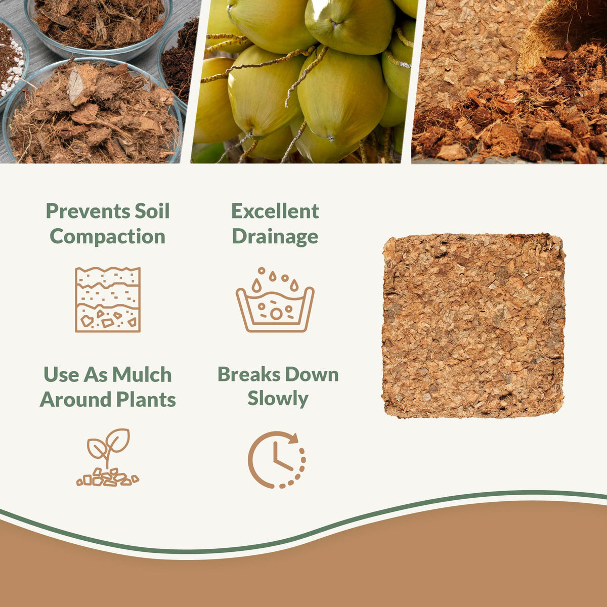Plantonix Coco Chips soaking water to boost moisture retention in pots.