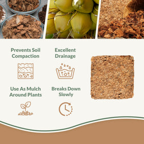 Plantonix Coco Chips soaking water to boost moisture retention in pots.