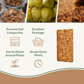 Plantonix Coco Chips being poured shows water retention for potted plants