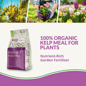 Plantonix Kelp Bliss granules closeup highlighting nutrient rich kelp for soil fertility.