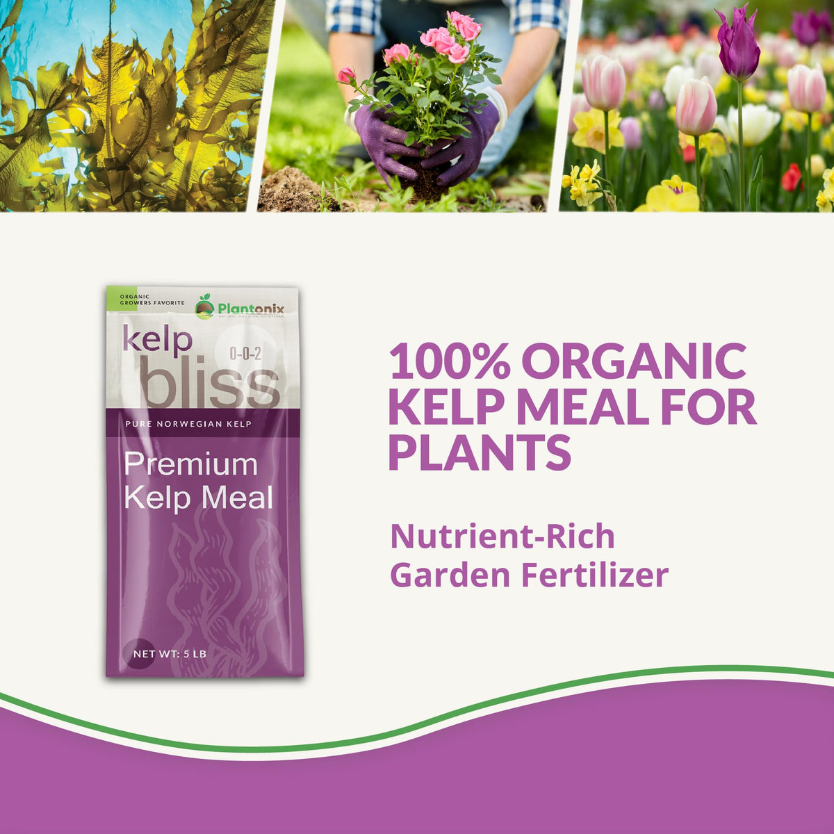 Plantonix Kelp Bliss measuring spoon, convenient dosing for precise plant nutrition.