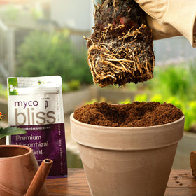 Plantonix Myco Bliss measuring scoop included for precise dosing