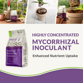 Plantonix Myco Bliss packaging jar showcases concentrated fungi capable of supporting up to 100 plants