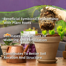 Plantonix Myco Bliss promotes stronger root growth with a five strain formula