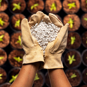 Root-zone detail shows enhanced aeration with Plantonix Perlite Bliss.