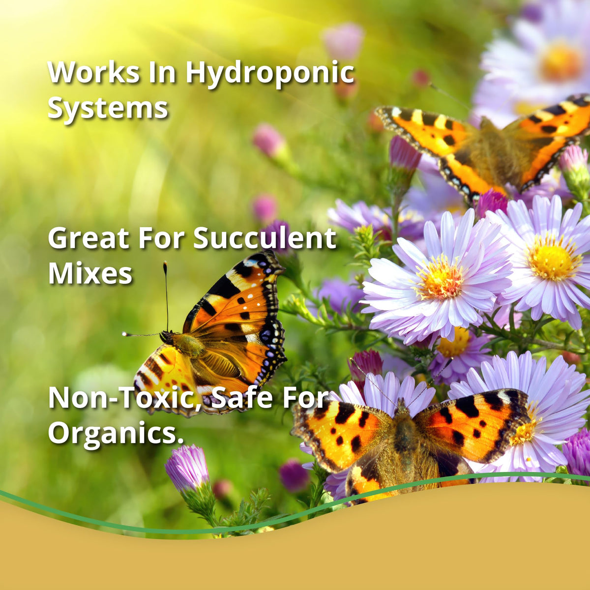 Demonstrates improved water retention in soil with Vermiculite Bliss