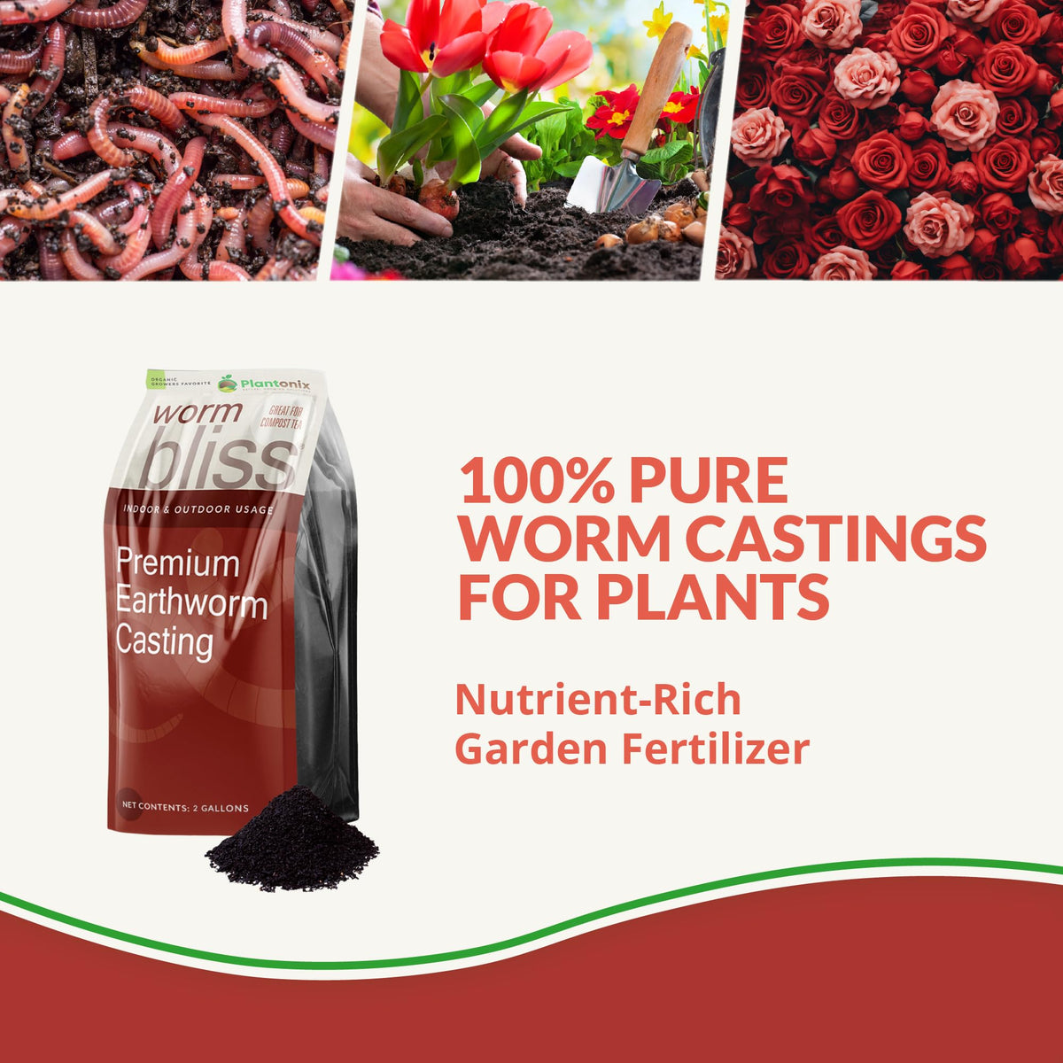 Plantonix Worm Bliss closeup castings, pure and nutrient-rich for plants