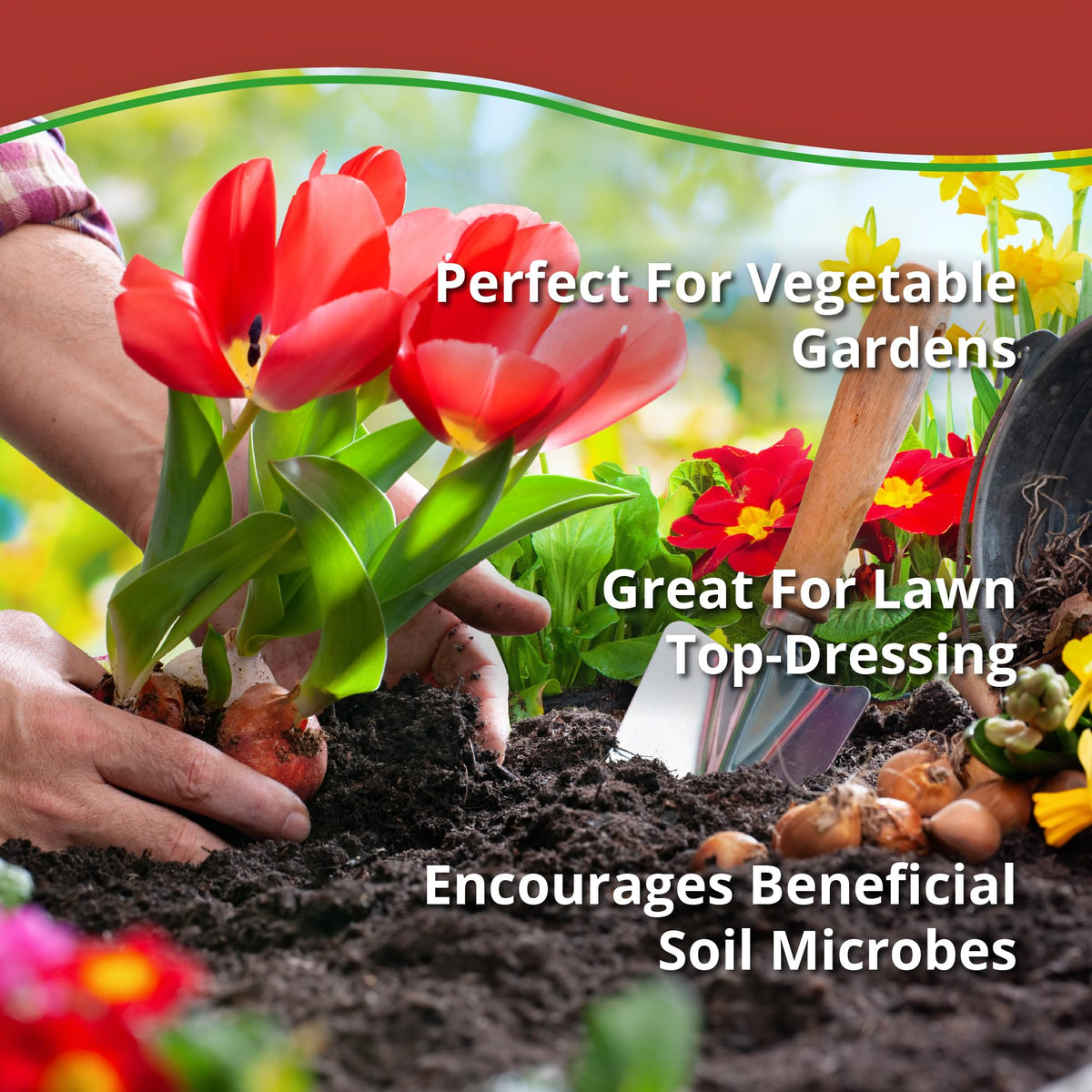 Plantonix Worm Bliss container application for balcony gardening