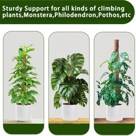 PLANTPOLEX 6.6ft jute rope included for secure ties