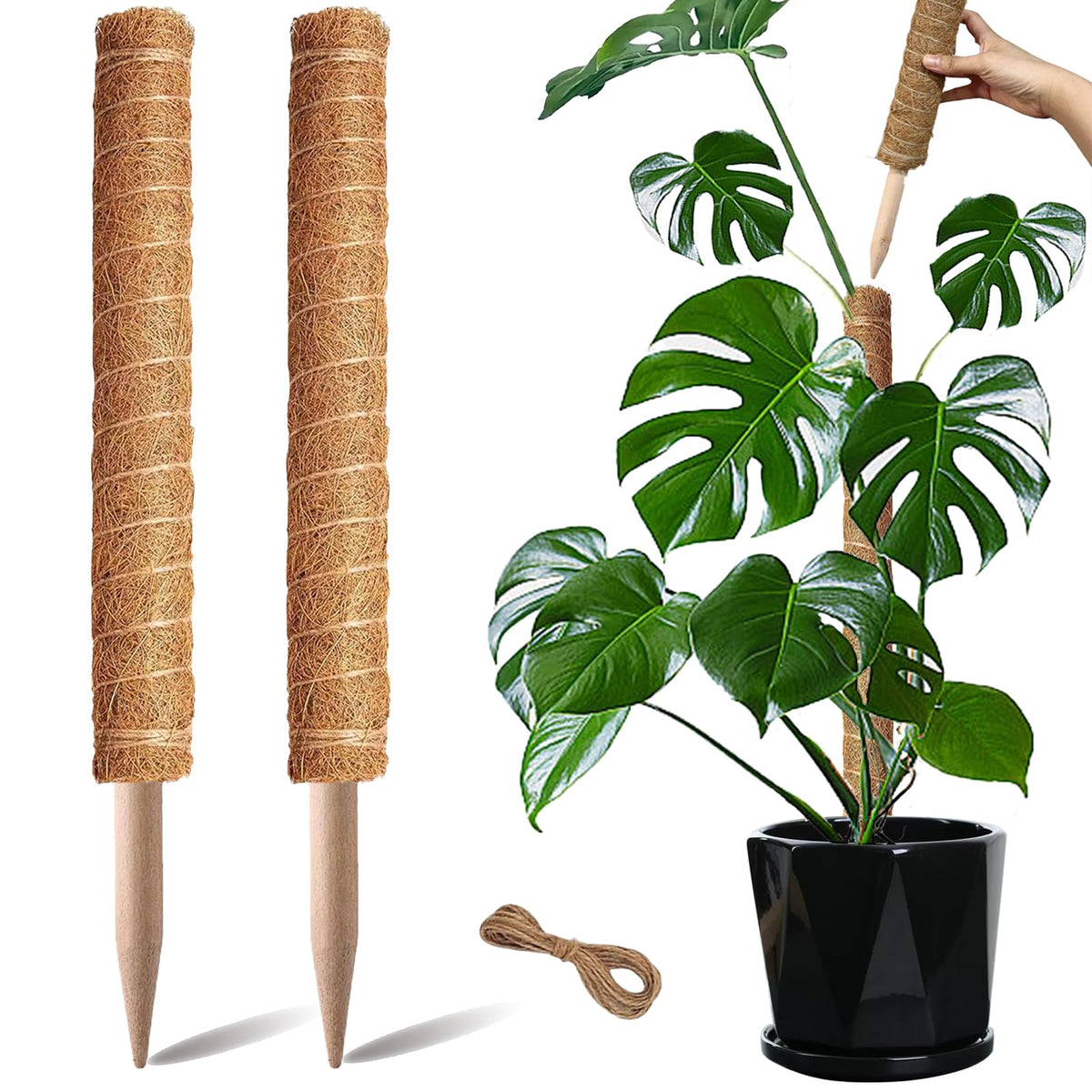 PLANTPOLEX Moss Pole 17-inch two-pack supports climbing plants for upward growth