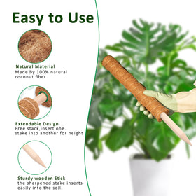Natural coir moss pole made from coconut fiber for durable plant support