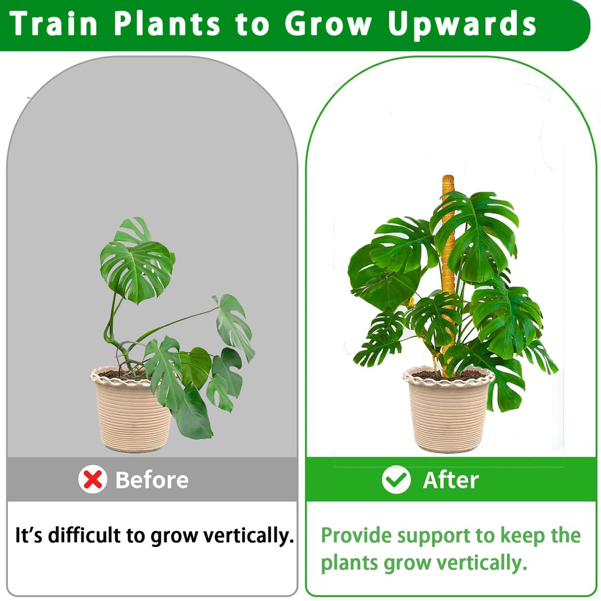 Stackable PLANTPOLEX poles extend climbing height for growing plants