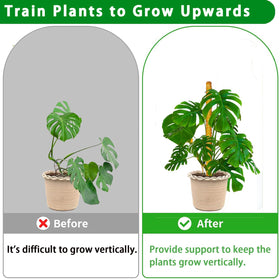 Stackable PLANTPOLEX poles extend climbing height for growing plants