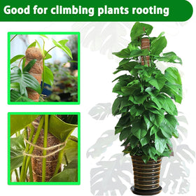 PLANTPOLEX stackable design extends height for tall climbers