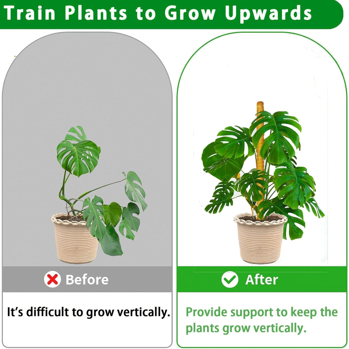 PLANTPOLEX Velcro strap included for easy attachment