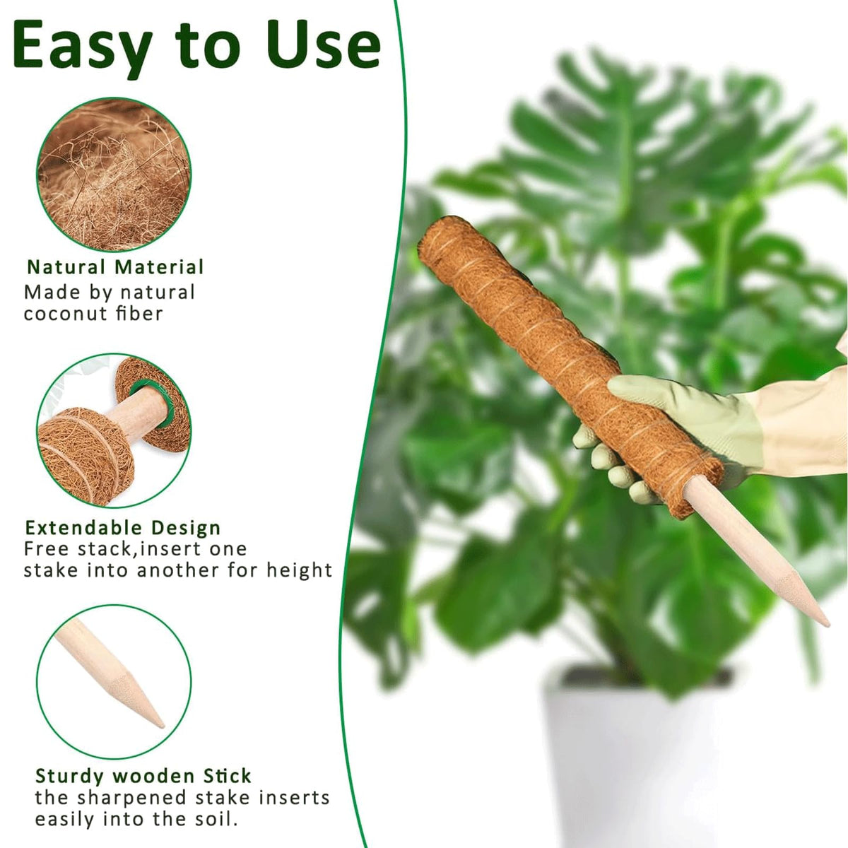 PLANTPOLEX moss pole interior shows wooden core for stability