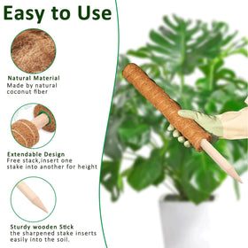 PLANTPOLEX moss pole interior shows wooden core for stability
