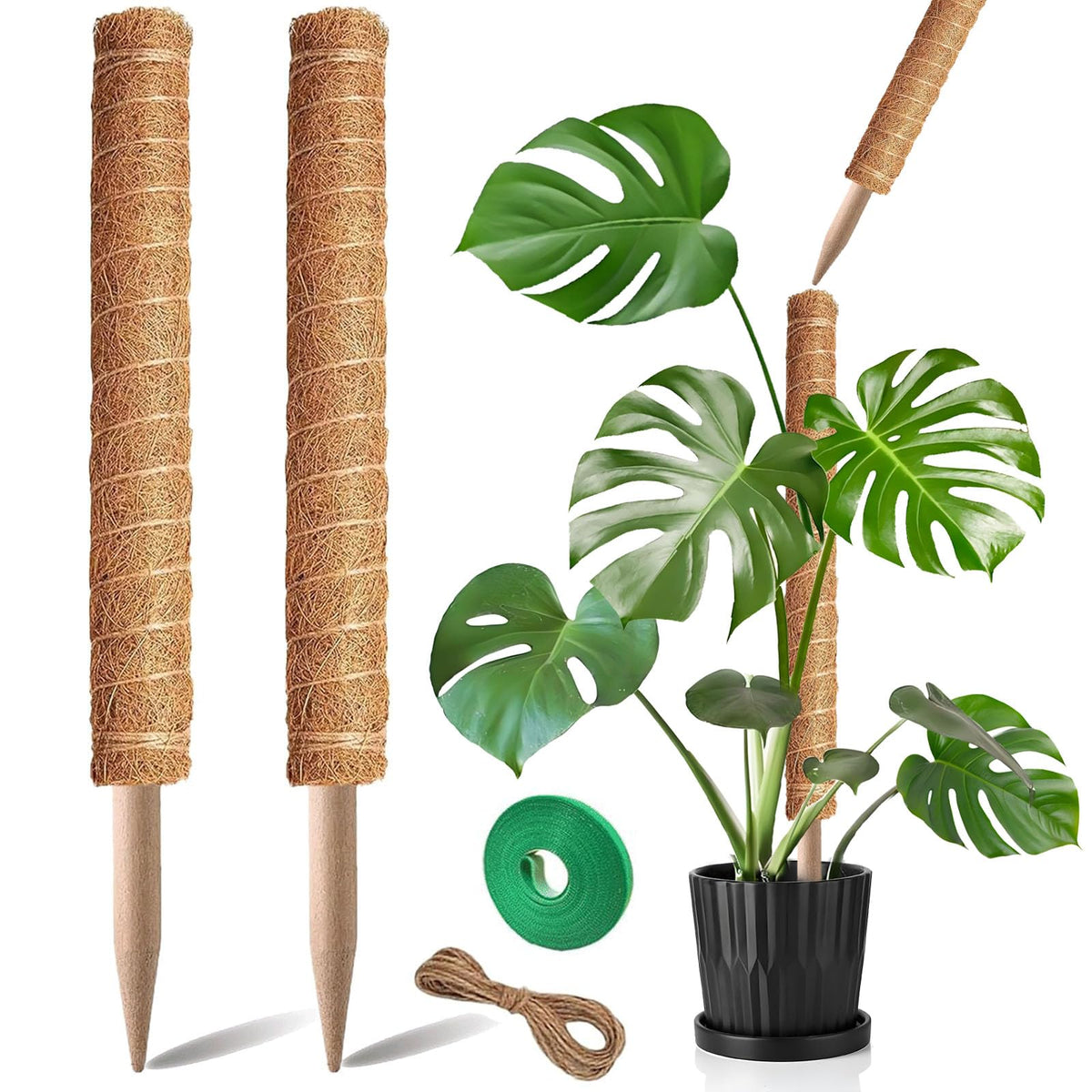 Plantpolex moss pole 2-pack 21 inch supports indoor climbing plants.