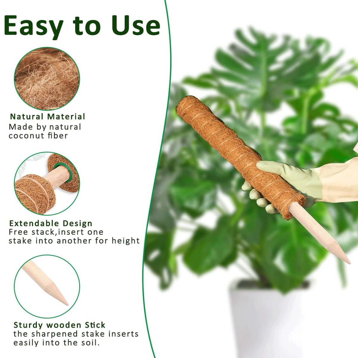 Plantpolex moss pole with rope and Velcro for secure tying.
