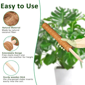 Plantpolex moss pole with rope and Velcro for secure tying.