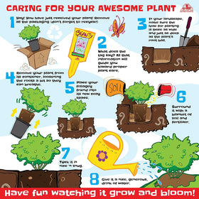 Plants for Pets Silverado sage patio decor option for seasonal outdoor styling.