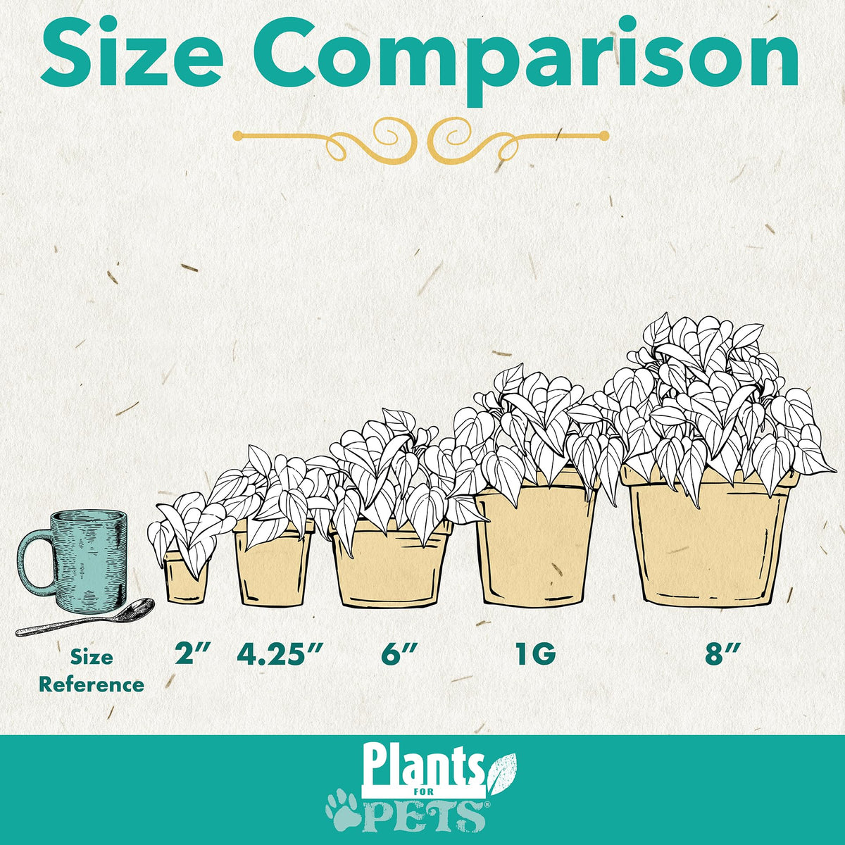 Plants for Pets snake plant tall spear foliage ideal for empty corners