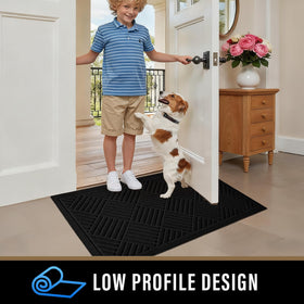 PLEASOR dirt-resistant absorbent mat captures water and mud from shoes and paws.
