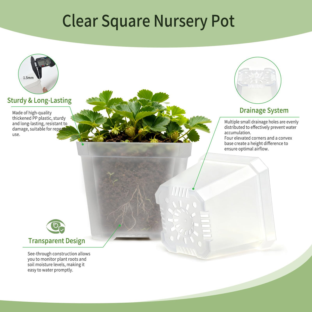 Plgardpo 4-inch clear nursery pot side view shows transparent walls for monitoring growth.