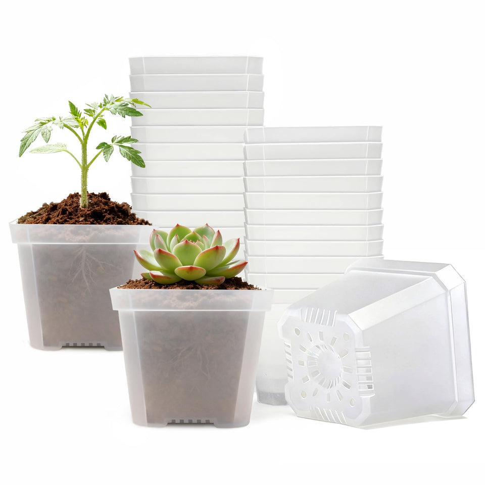Plgardpo 4-inch clear nursery pot top view enables easy root observation and moisture checks.