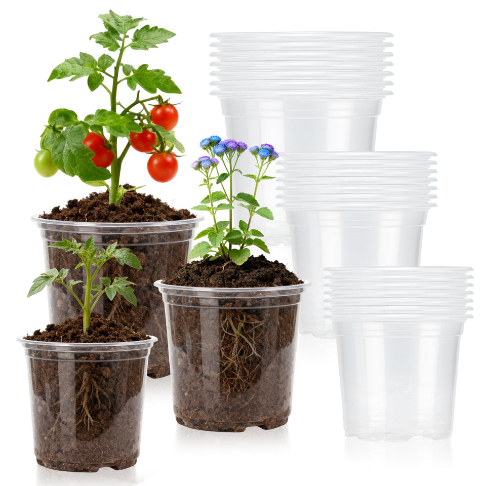 Plgardpo clear nursery pot 3-inch showing root growth for seedlings.