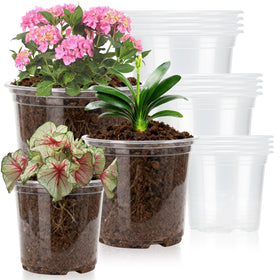 Plgardpo clear nursery pot 5-inch for root observation.