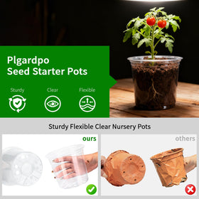 Plgardpo clear nursery pot 7-inch ready for transplanting.