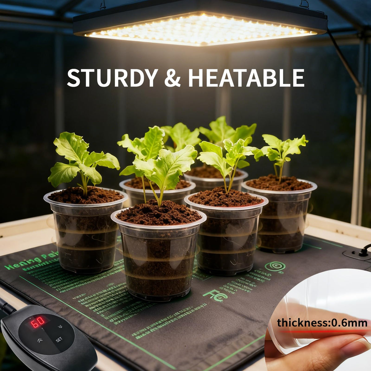 Plgardpo pot with visible drainage holes supports proper water flow.