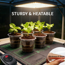 Plgardpo pot with visible drainage holes supports proper water flow.