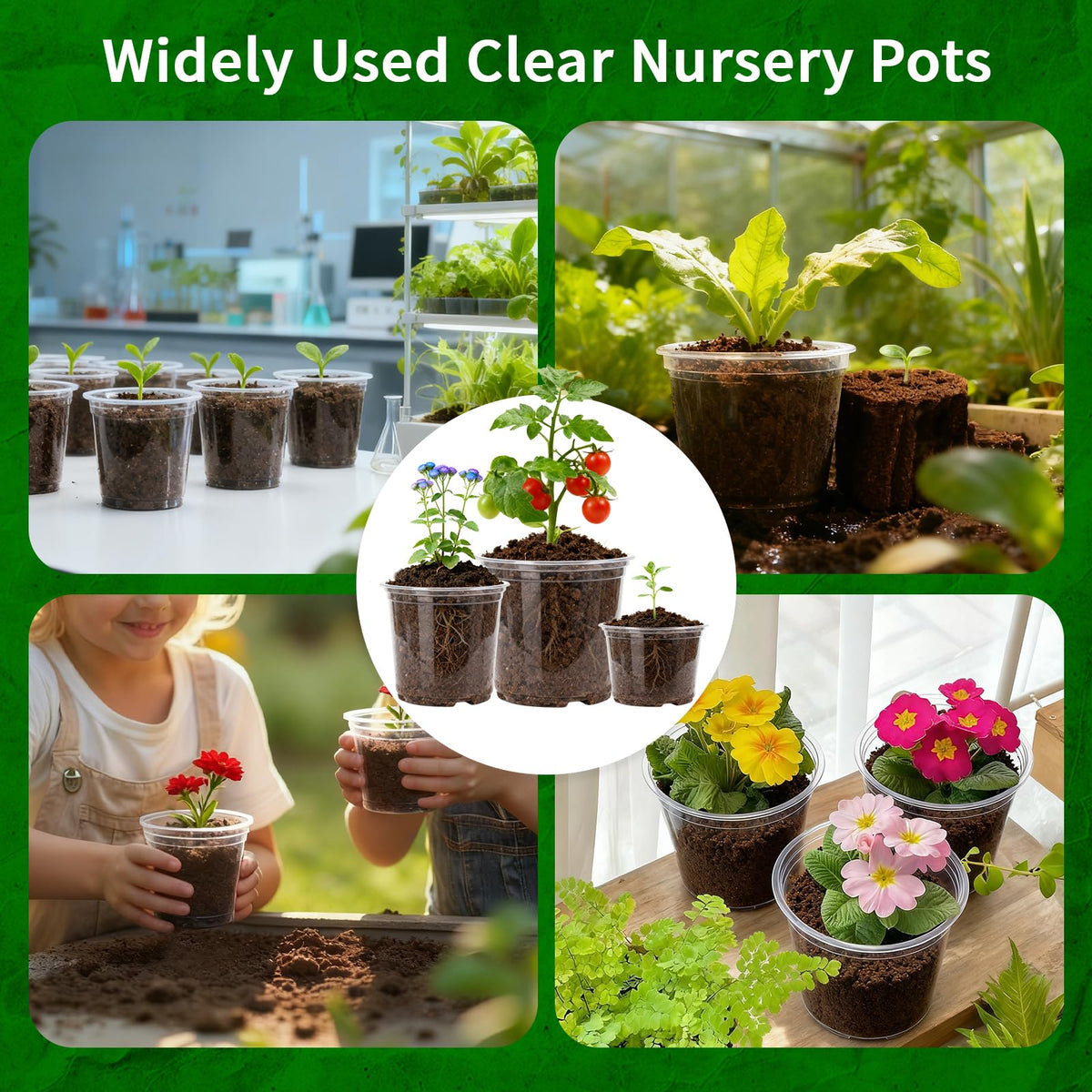 Plgardpo transparent pot reveals root growth to monitor health.