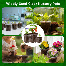 Plgardpo transparent pot reveals root growth to monitor health.