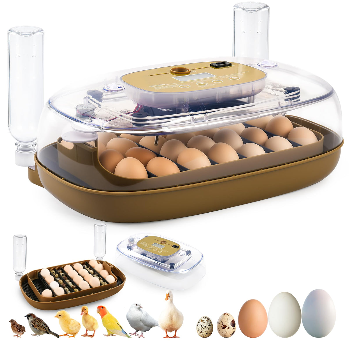 Ploomi 24-egg incubator front view, compact and beginner-friendly.