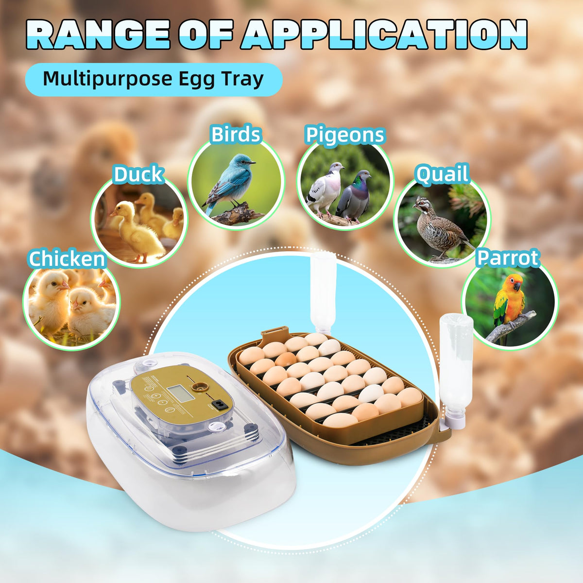 Ploomi incubator lid with humidity display, easy monitoring for stable conditions.