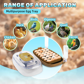 Ploomi incubator lid with humidity display, easy monitoring for stable conditions.