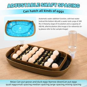 Ploomi auto egg Turner and tray for gentle rotation across species.