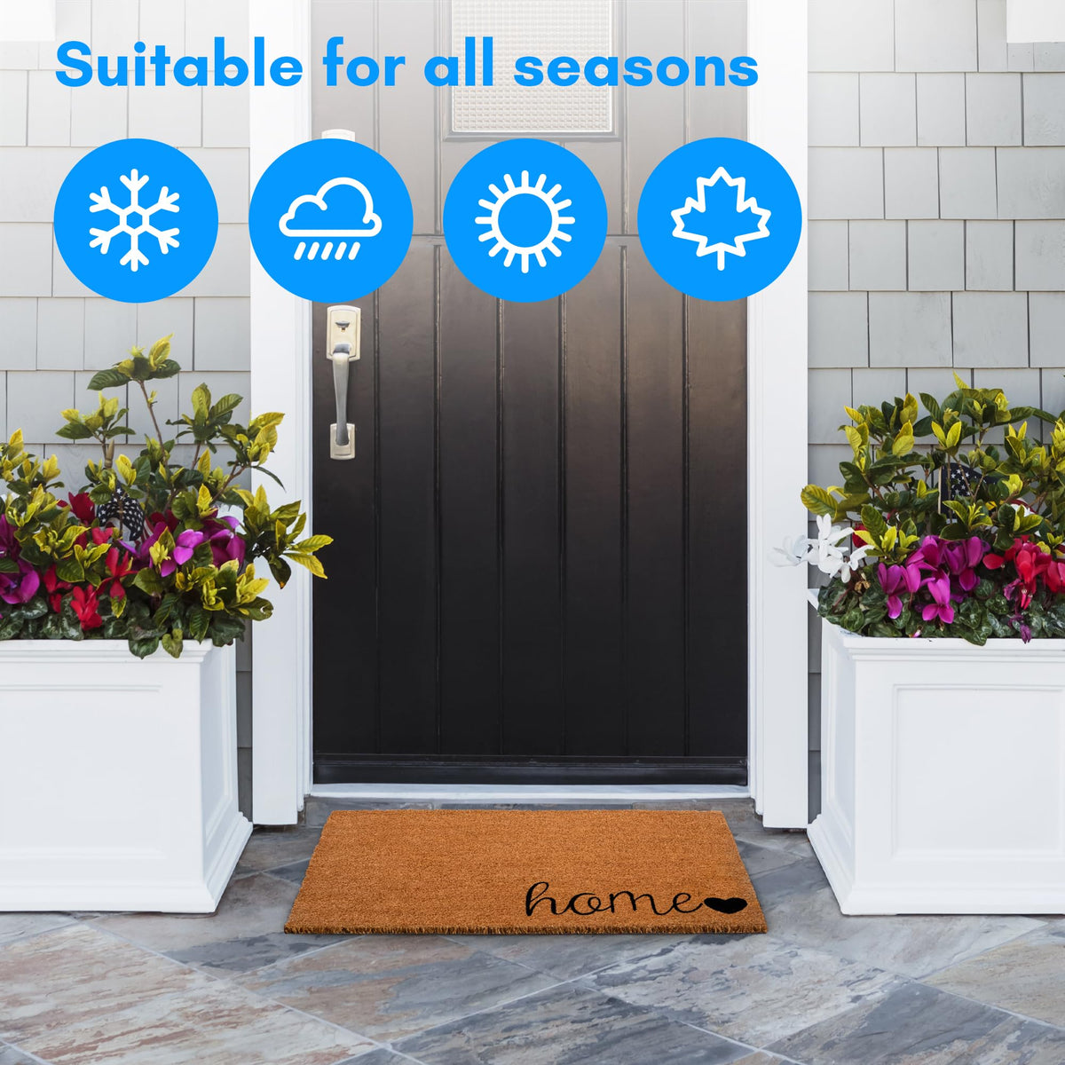 PLUS Haven easy-clean action shows quick shake or rinse for refresh.