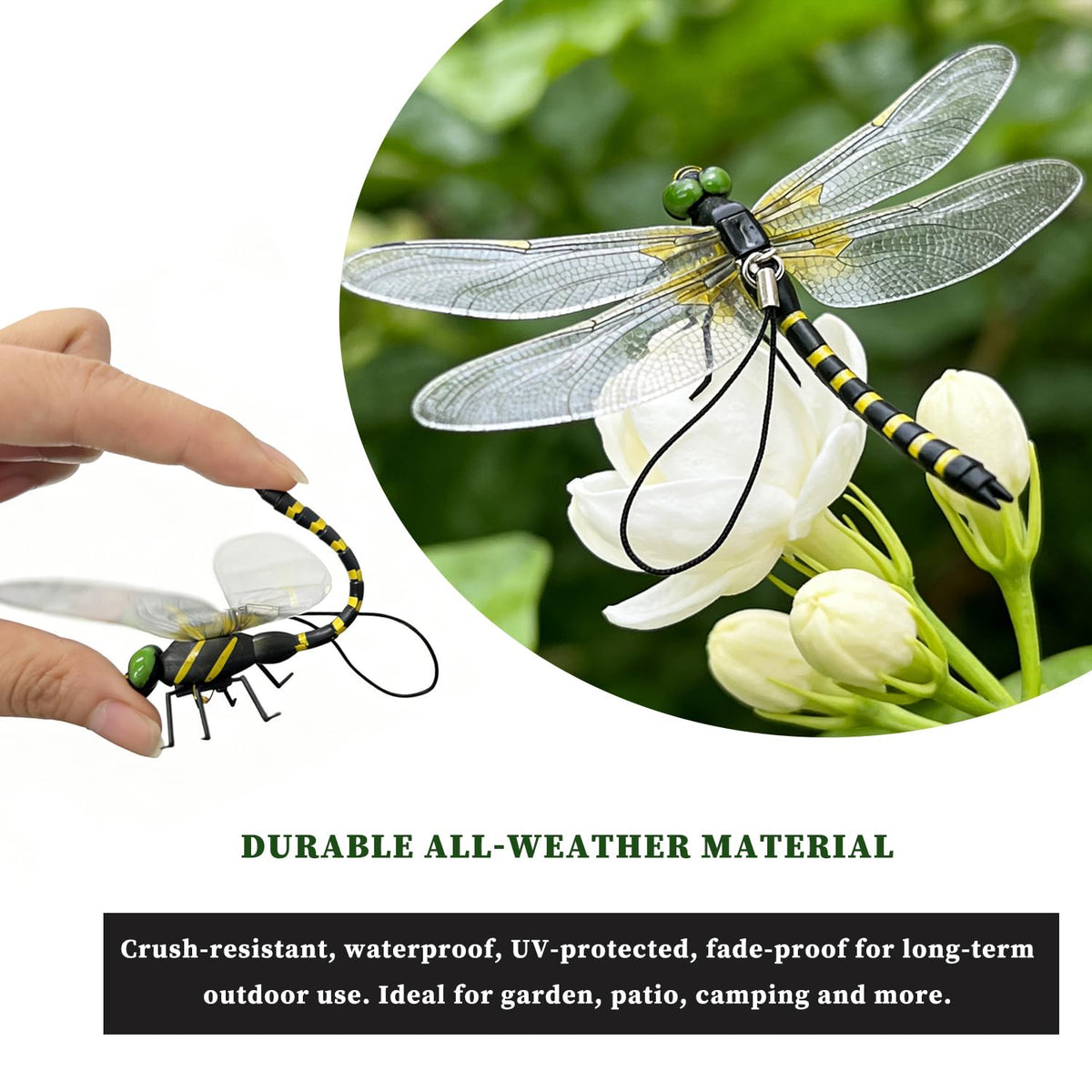PMDYBY Dragon Fly Wings Detail translucent veined wings for a realistic look