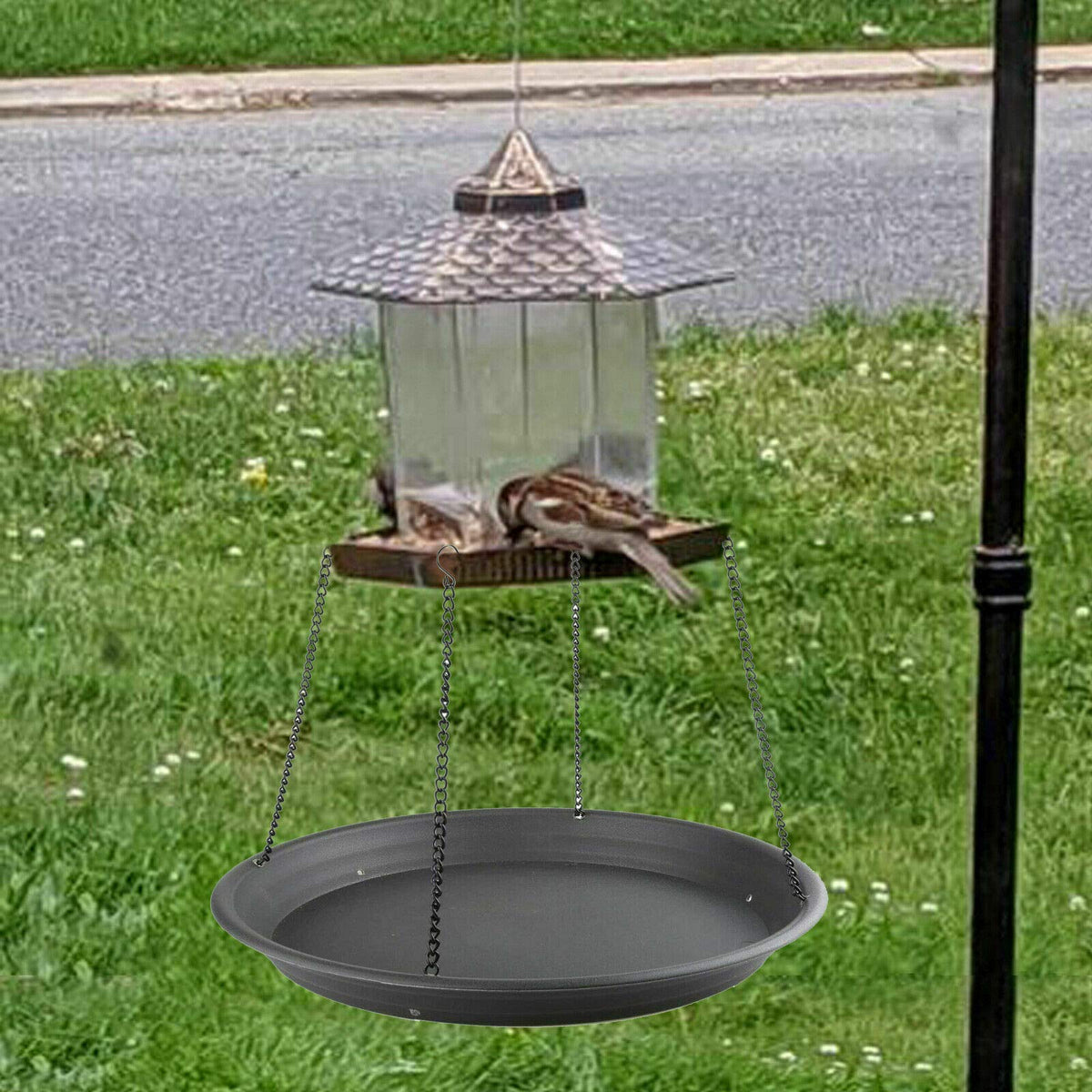 Pmsanzay Bird Seed Catcher Tray with three drain holes for quick water drainage.