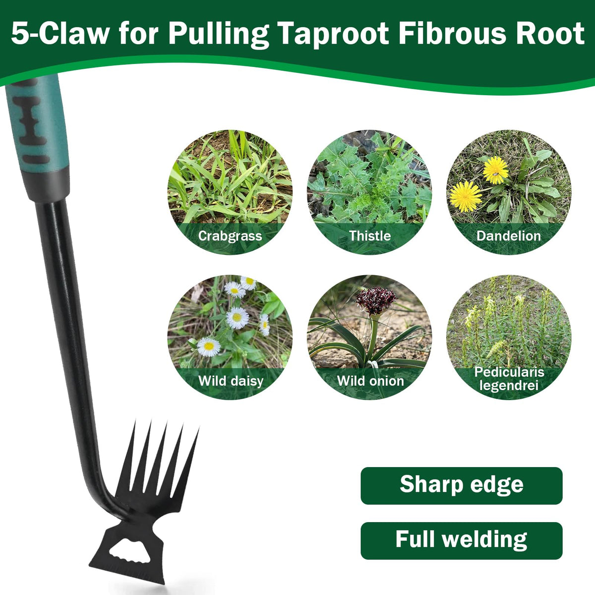 Pnylqo stainless steel body resists rust for lasting garden use.