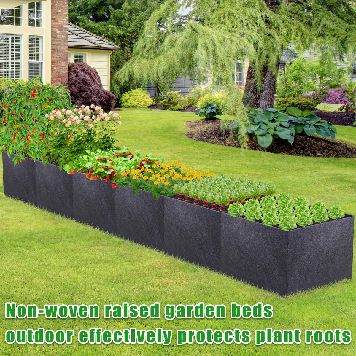 POILKMNI deep 12in root zone supports deeper-root vegetables.