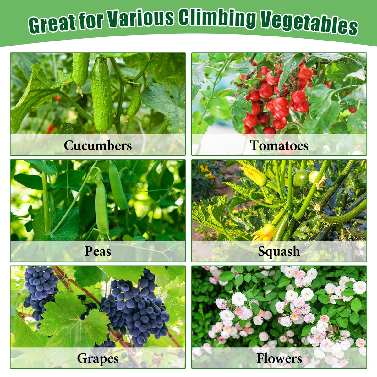 POILKMNI raised garden bed container fits patios and balconies for compact growing.